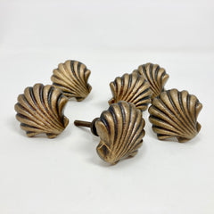 Art Deco Antique Brass Shell Clam Knob | Handle Kitchen Cupboard Home Bathroom Hallway Seaside Nautical
