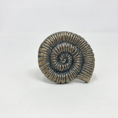 Antique Brass Shell Knob Metal Knob Drawer Pull Bathroom Cabinet Dresser