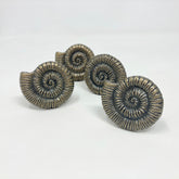 Antique Brass Shell Knob Metal Knob Drawer Pull Bathroom Cabinet Dresser