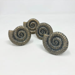 Antique Brass Shell Knob Metal Knob Drawer Pull Bathroom Cabinet Dresser