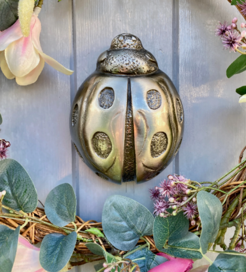 Ladybird Antique Brass Door Knocker