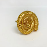 Gold Shell Knob. Elegant, Coastal-Inspired Design in Luxurious Gold Finish for Cabinets, Drawers, & Furniture with a Touch of Sophistication and Charm