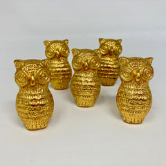 Gold Owl Metal Knob. Unique, Detailed Owl Design in Luxurious Gold Finish for Cabinets, Drawers, & Furniture with a Touch of Whimsy and Elegance