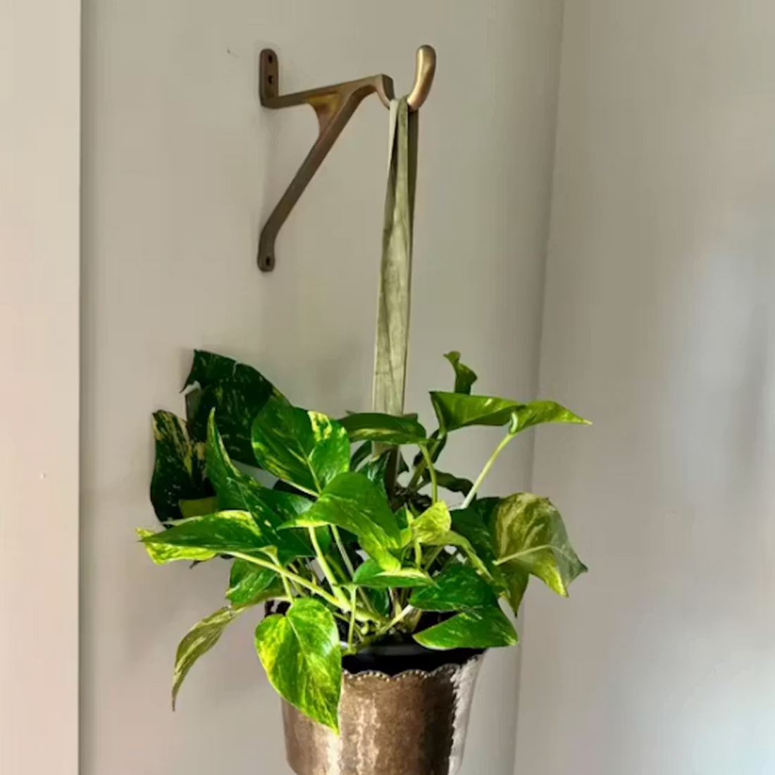 Brass Hanging Hook Brackets: Add Character to Any Room