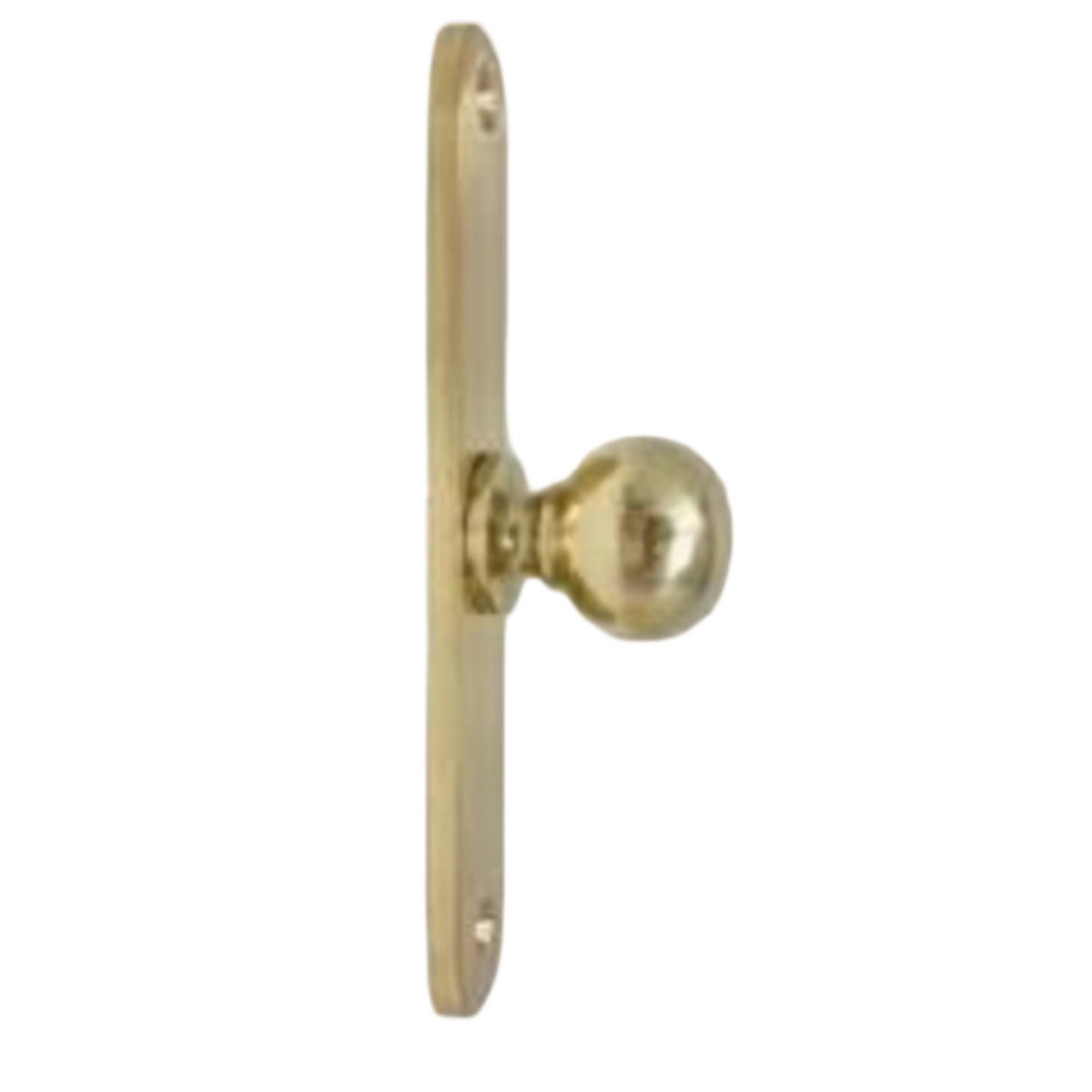 Lacquered Brass Large Oval Backplate