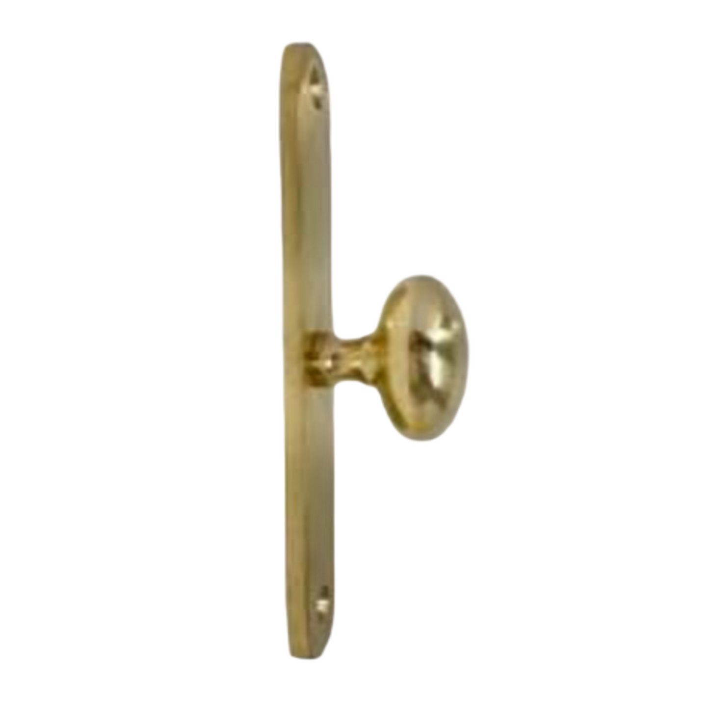 Lacquered Brass Large Oval Backplate