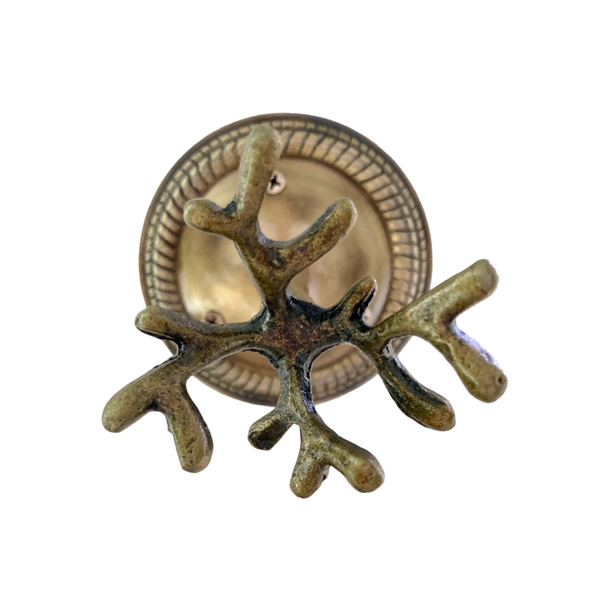 Large Coral Curtain Hook