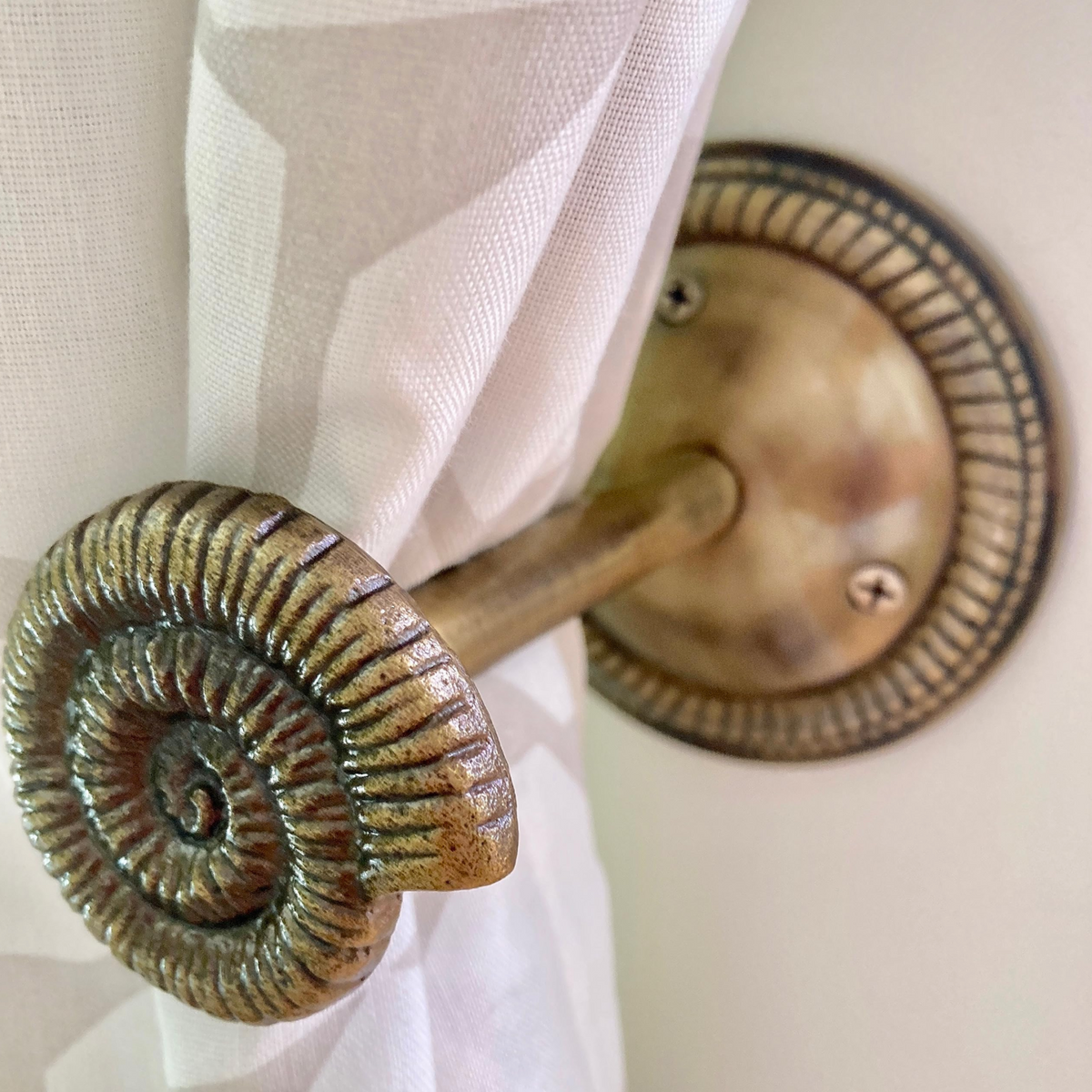 Large Shell Curtain Hook