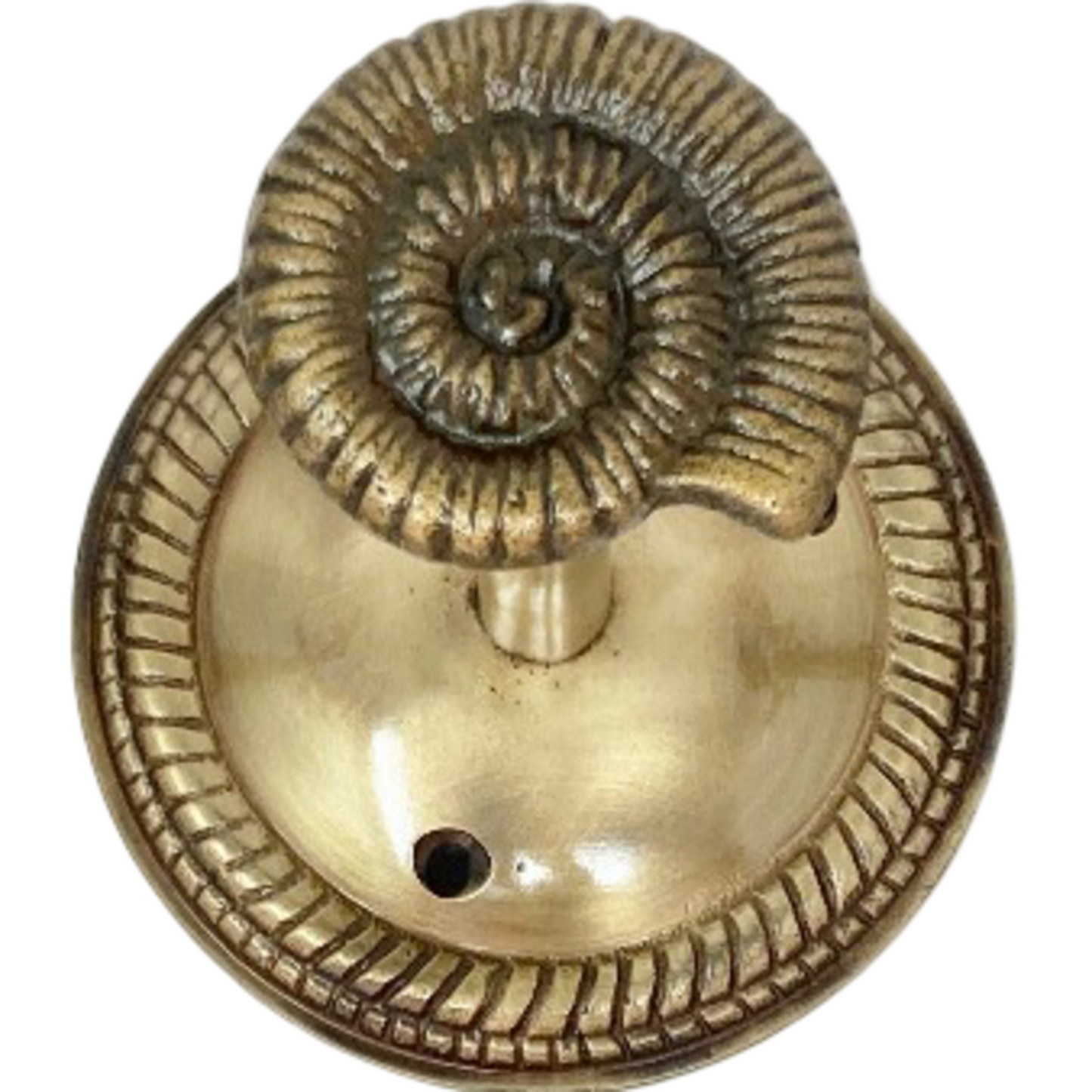 Large Shell Curtain Hook