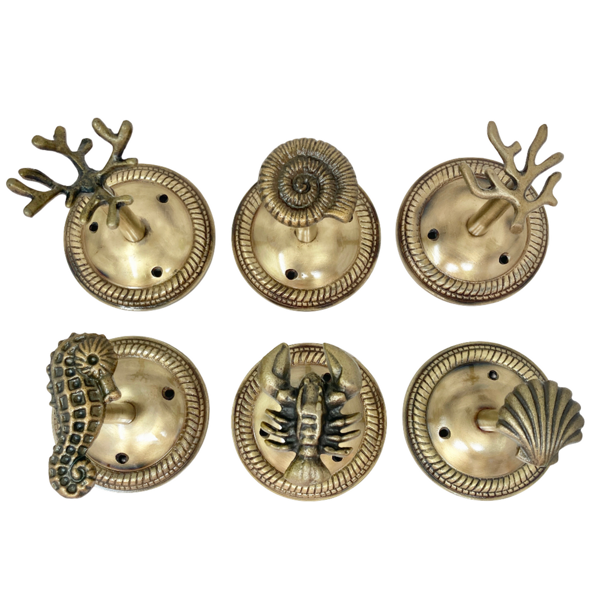 Large Shell Curtain Hook