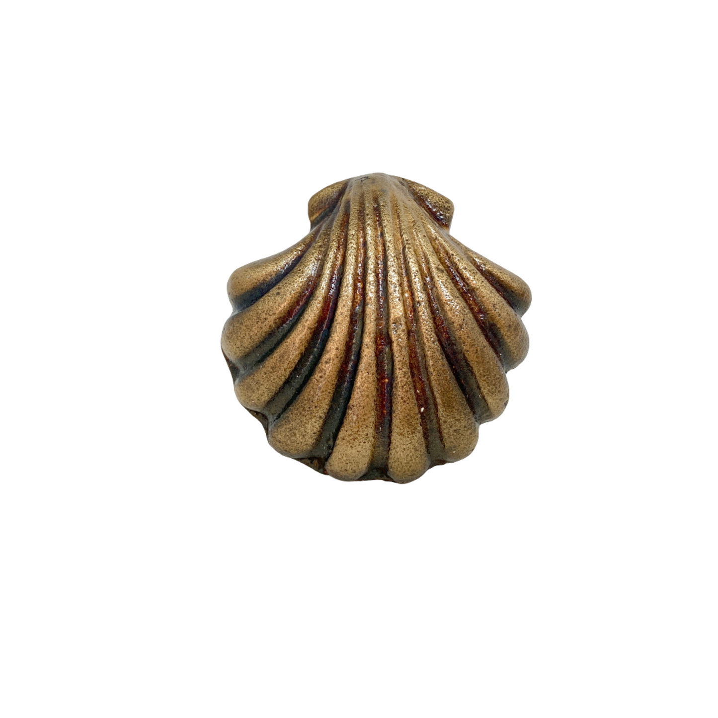 Shell Clam Knob