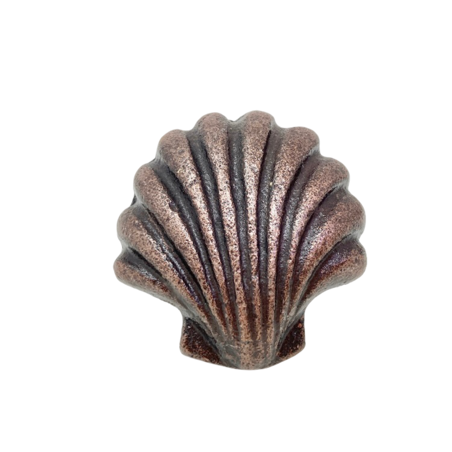 Shell Clam Knob