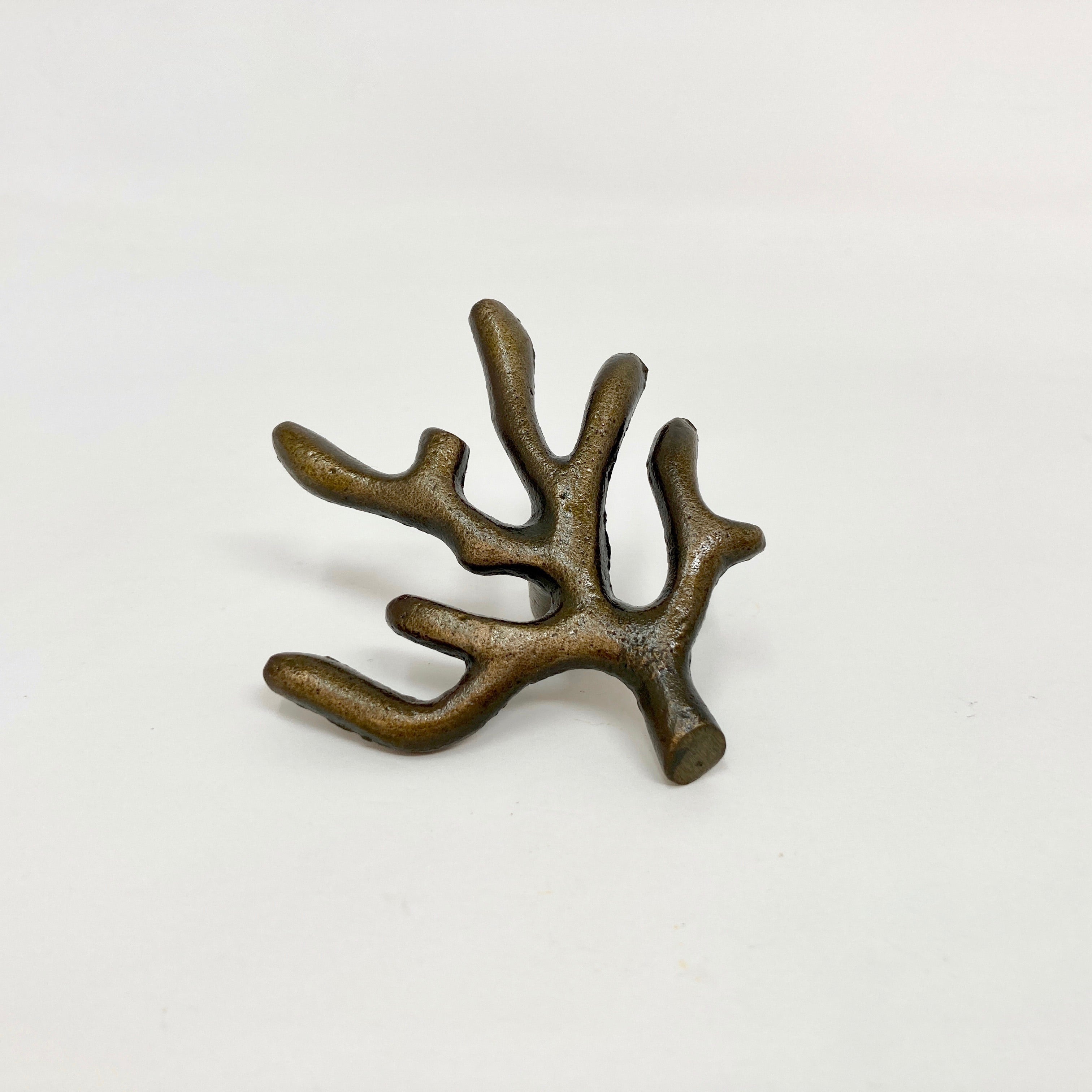 Coral Tree Branch Knob