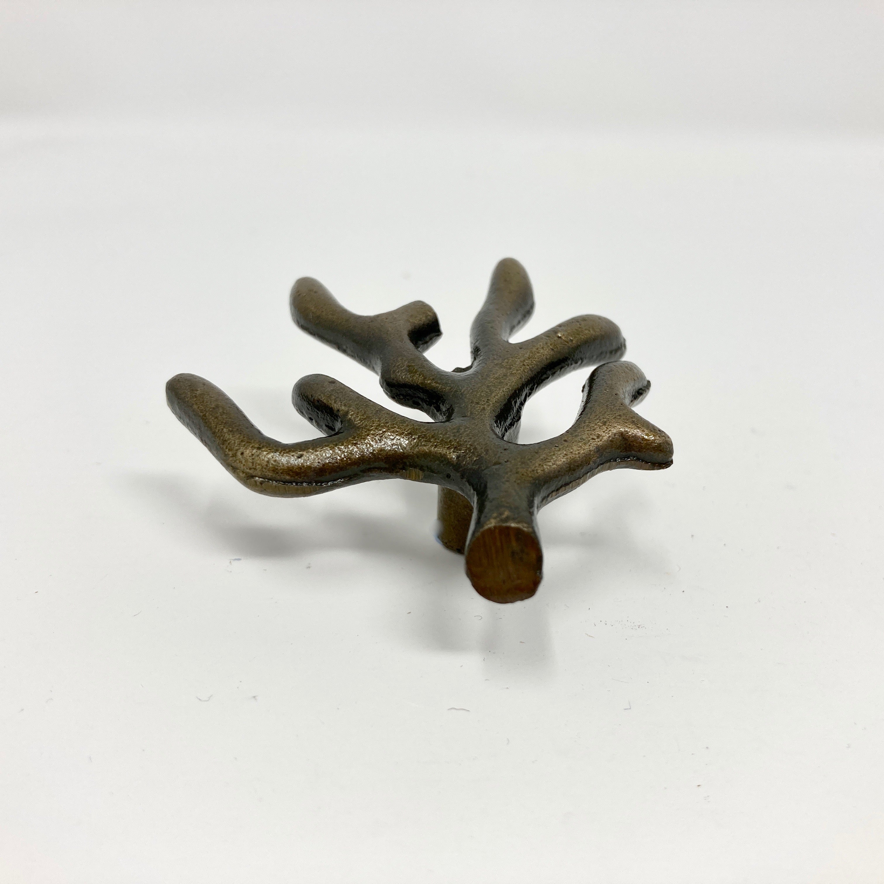 Coral Tree Branch Knob