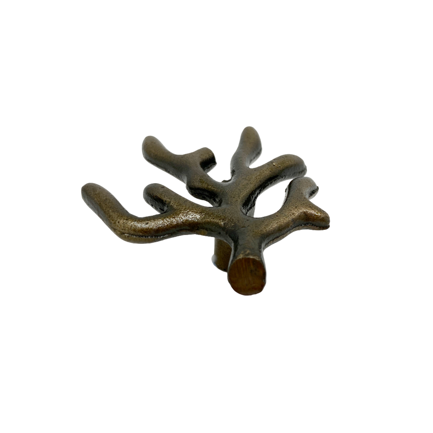 Coral Tree Branch Knob