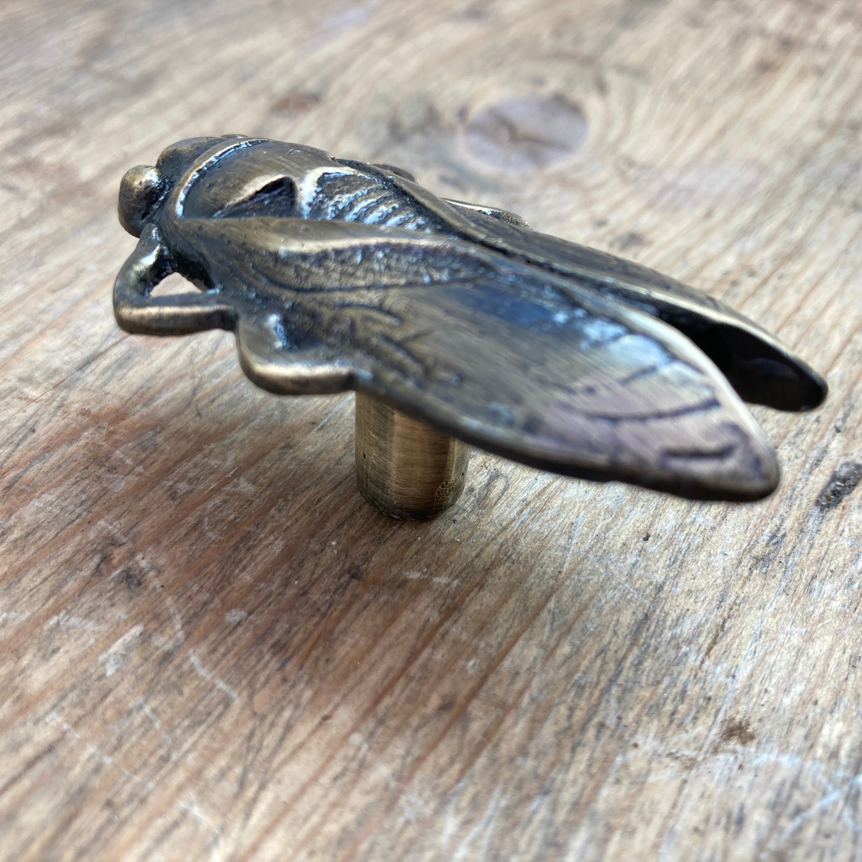 Antique Brass Bug Insect Drawer Knob Metal Cicada Cabinet Knobs Dresser Knob Cabinet Knob