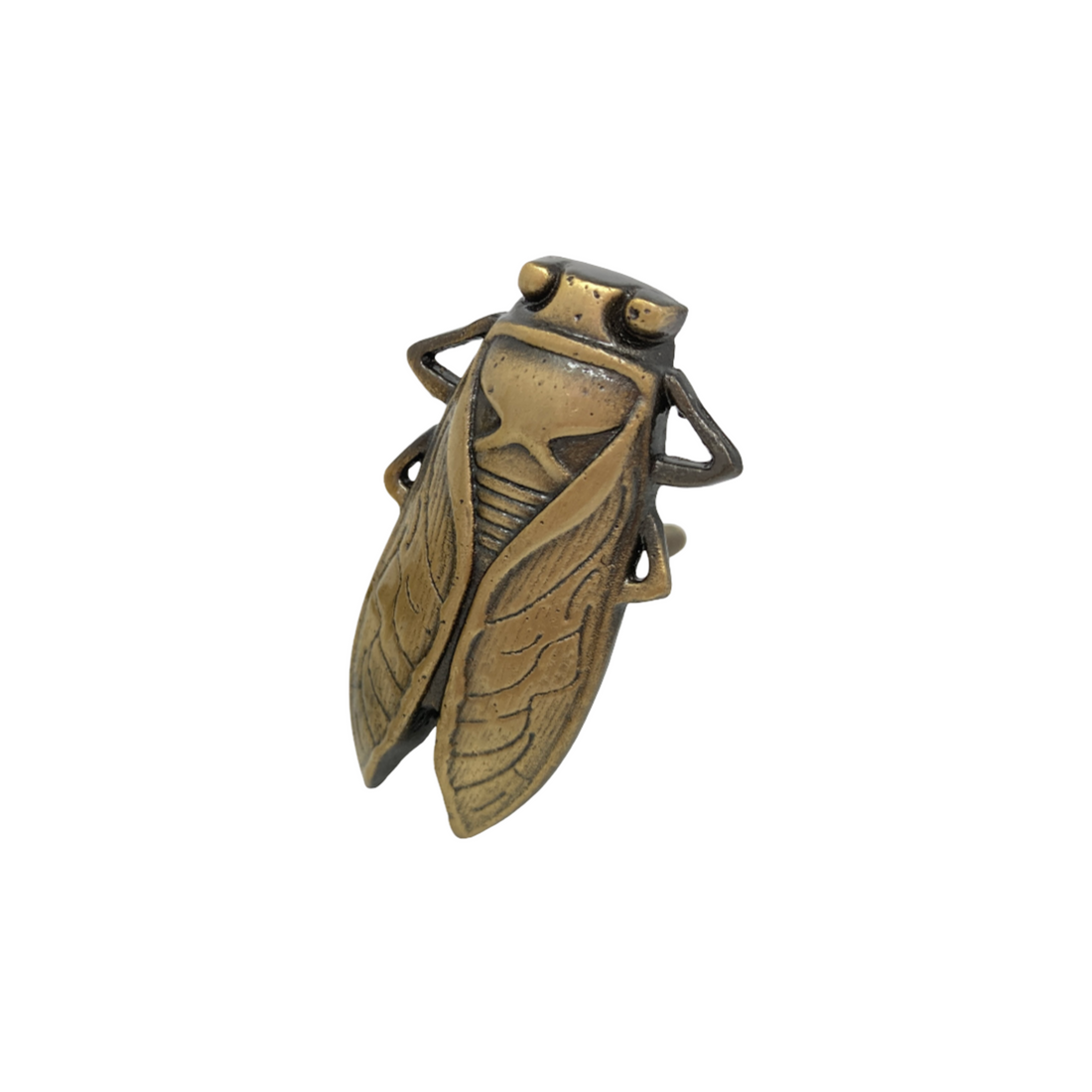 Bug Animal Knob