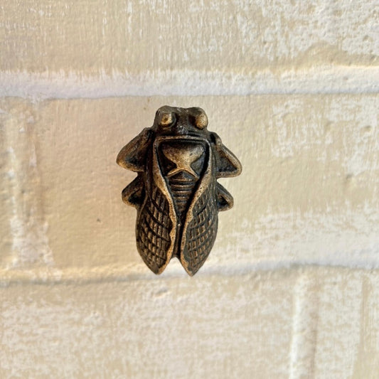 HOOK Large Antique Brass BUG Insect Wall Hooks Cicada