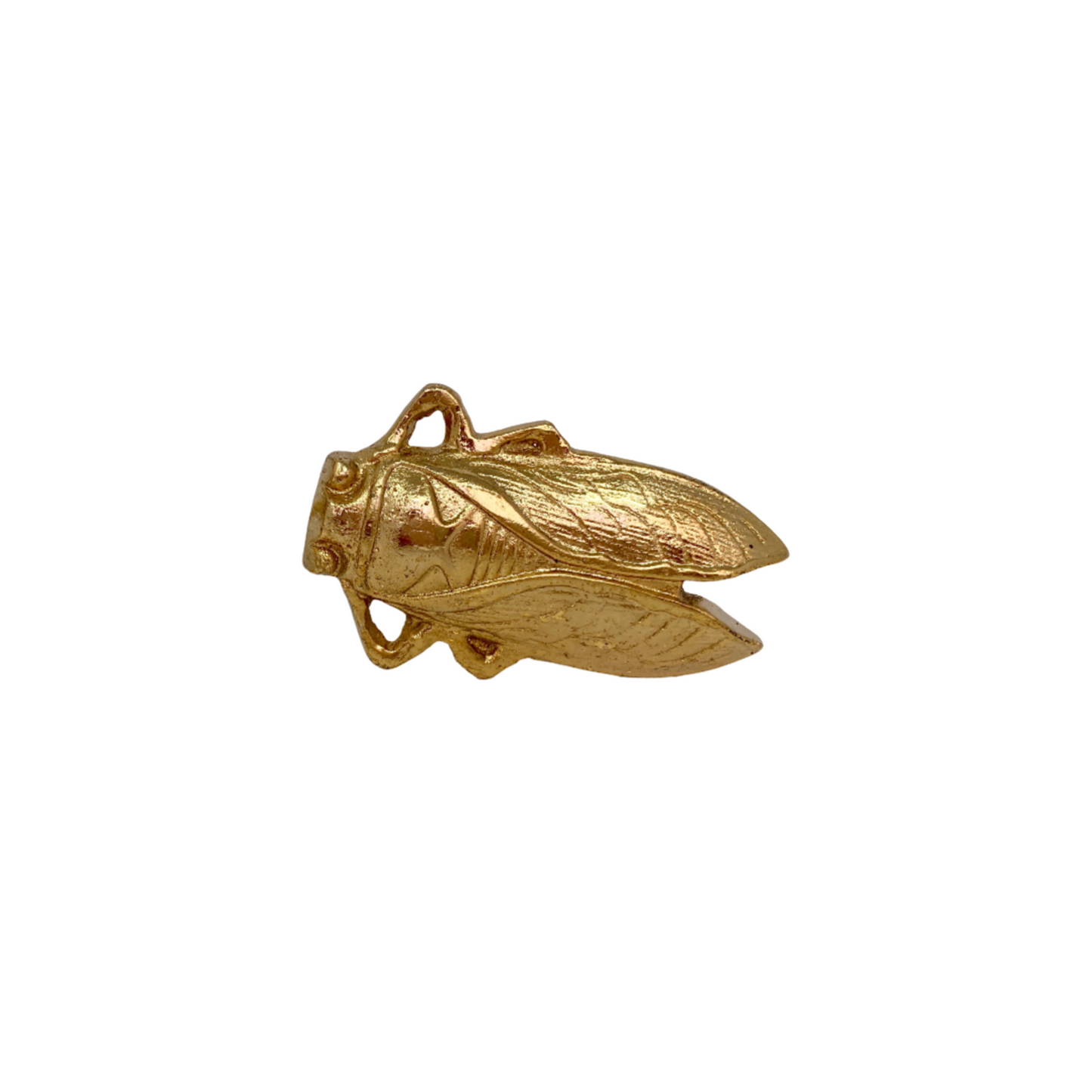 Bug Vintage Animal Knob