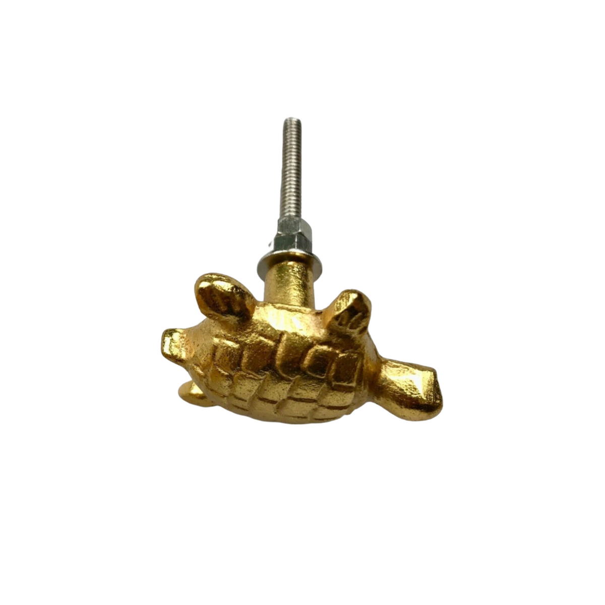 Turtle Knob