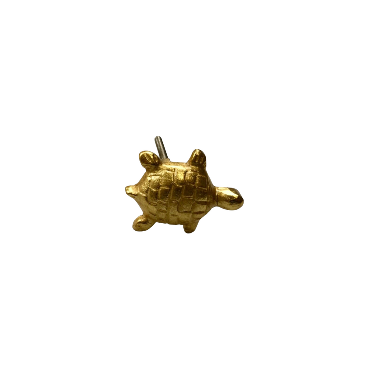 Turtle Knob