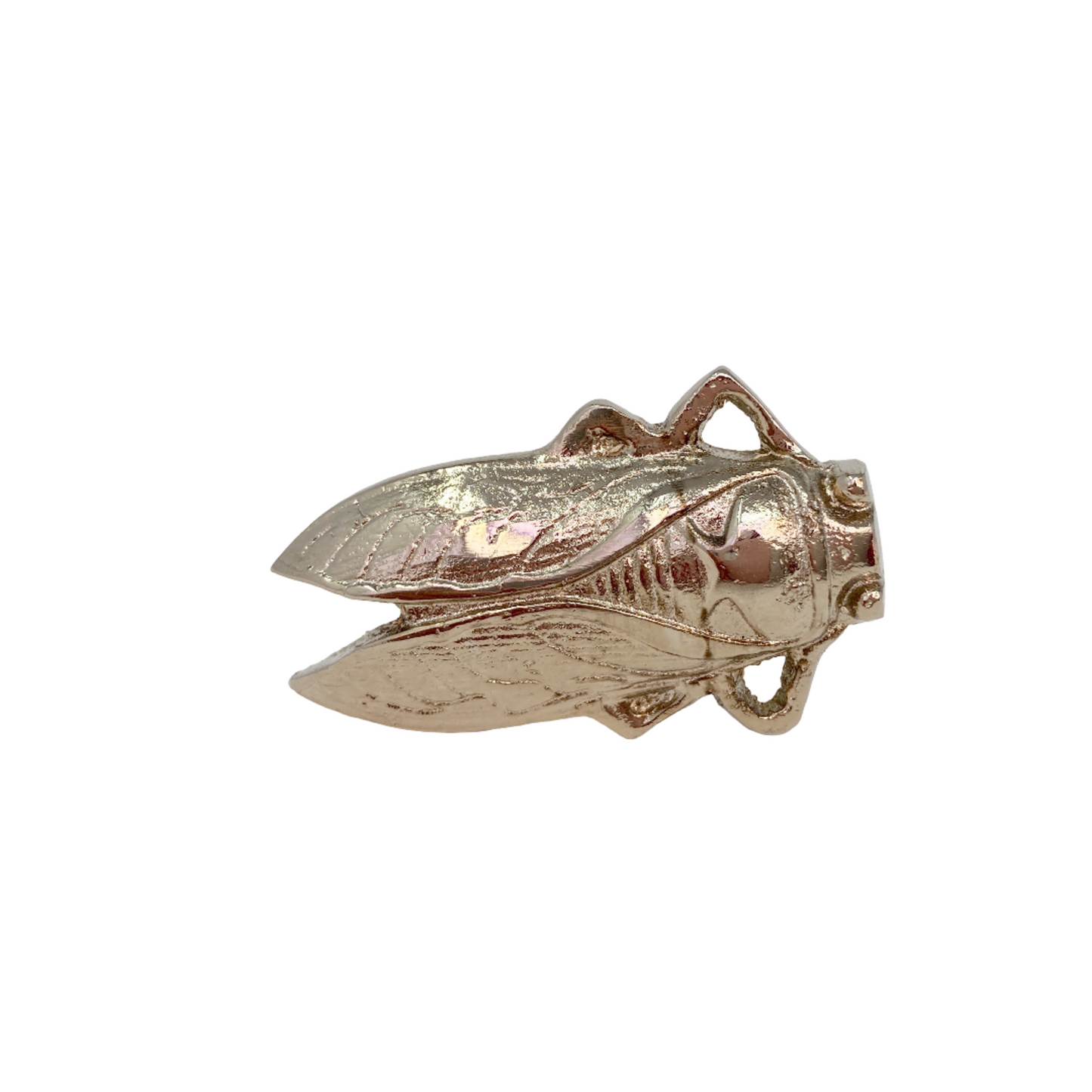 Bug Vintage Animal Knob