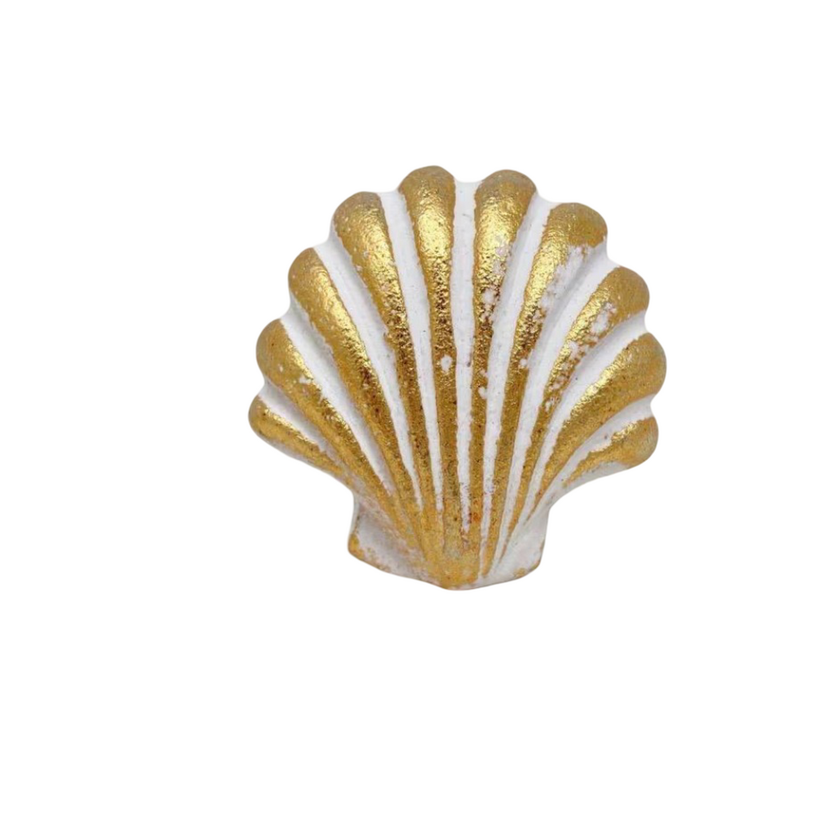 Shell Clam Knob