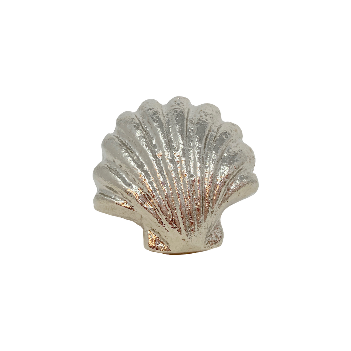 Shell Clam Knob