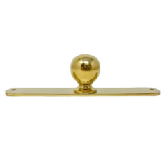 Unlacquered Brass Large Oval Backplate