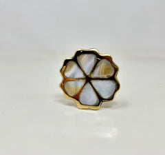 Mother of Pearl Brass Knob