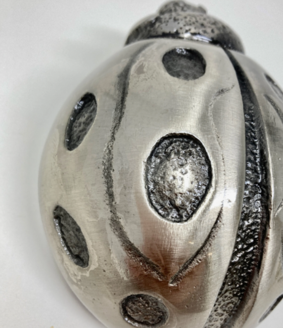 Ladybird Door Knocker in GUNMETAL