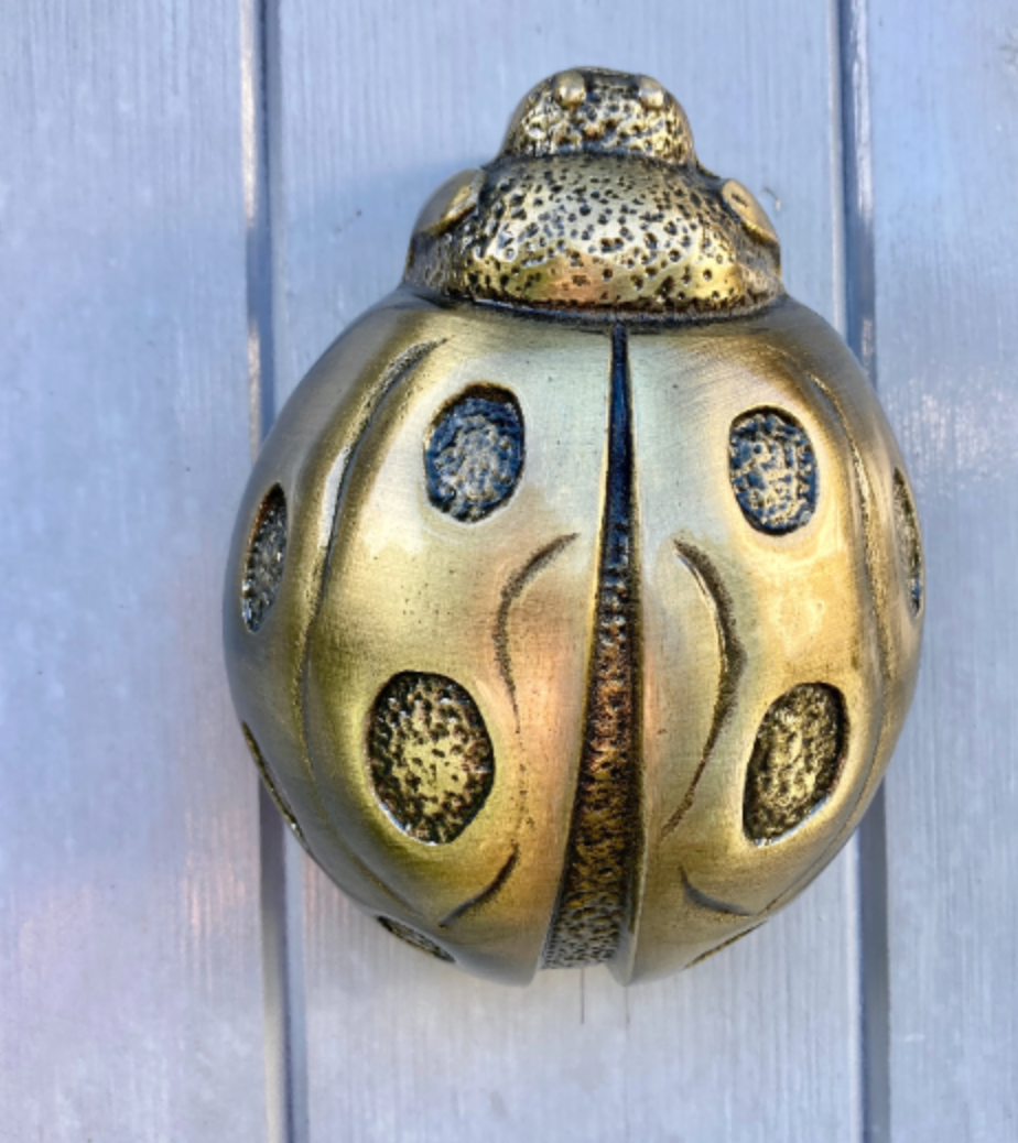 Ladybird Door Knocker in ANTIQUE BRASS