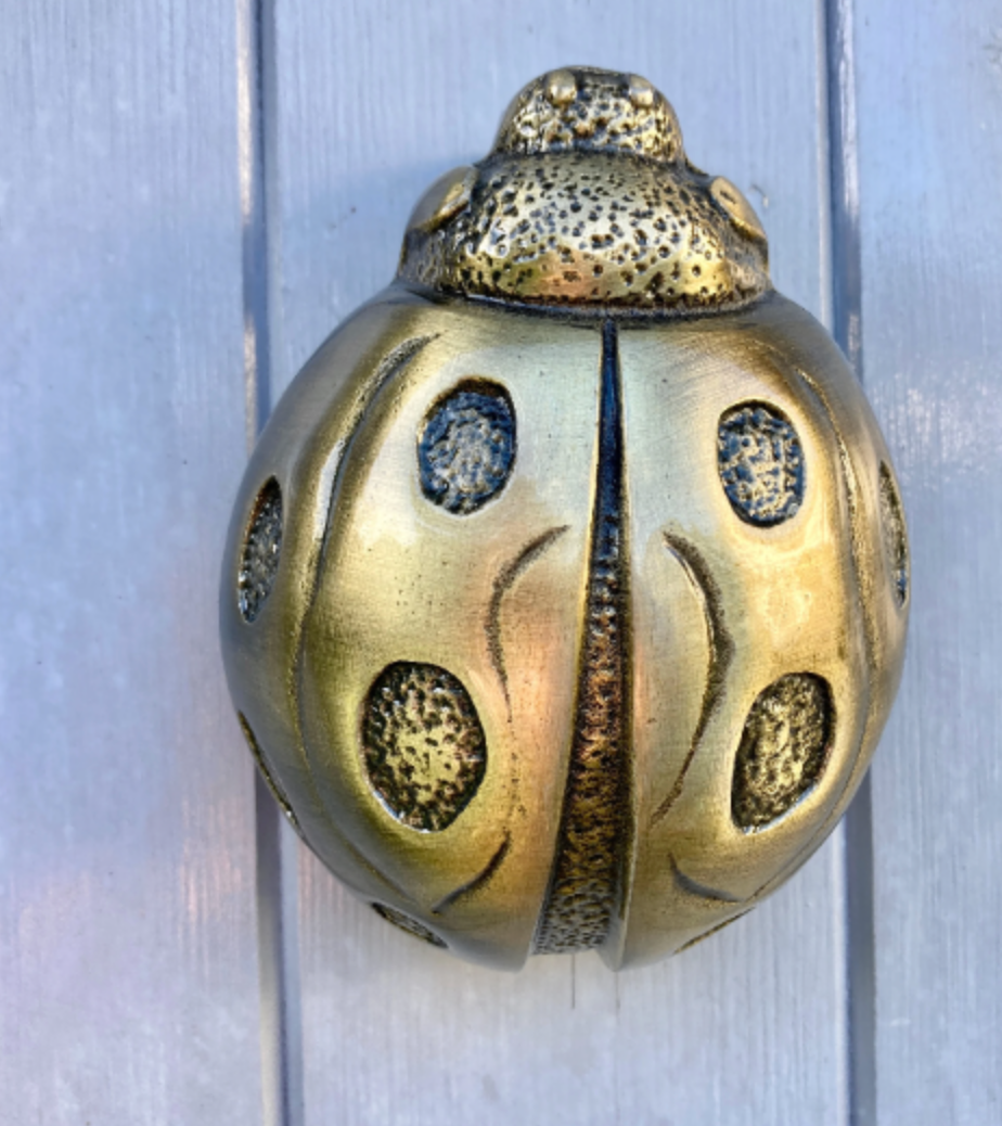 Ladybird Antique Brass Door Knocker