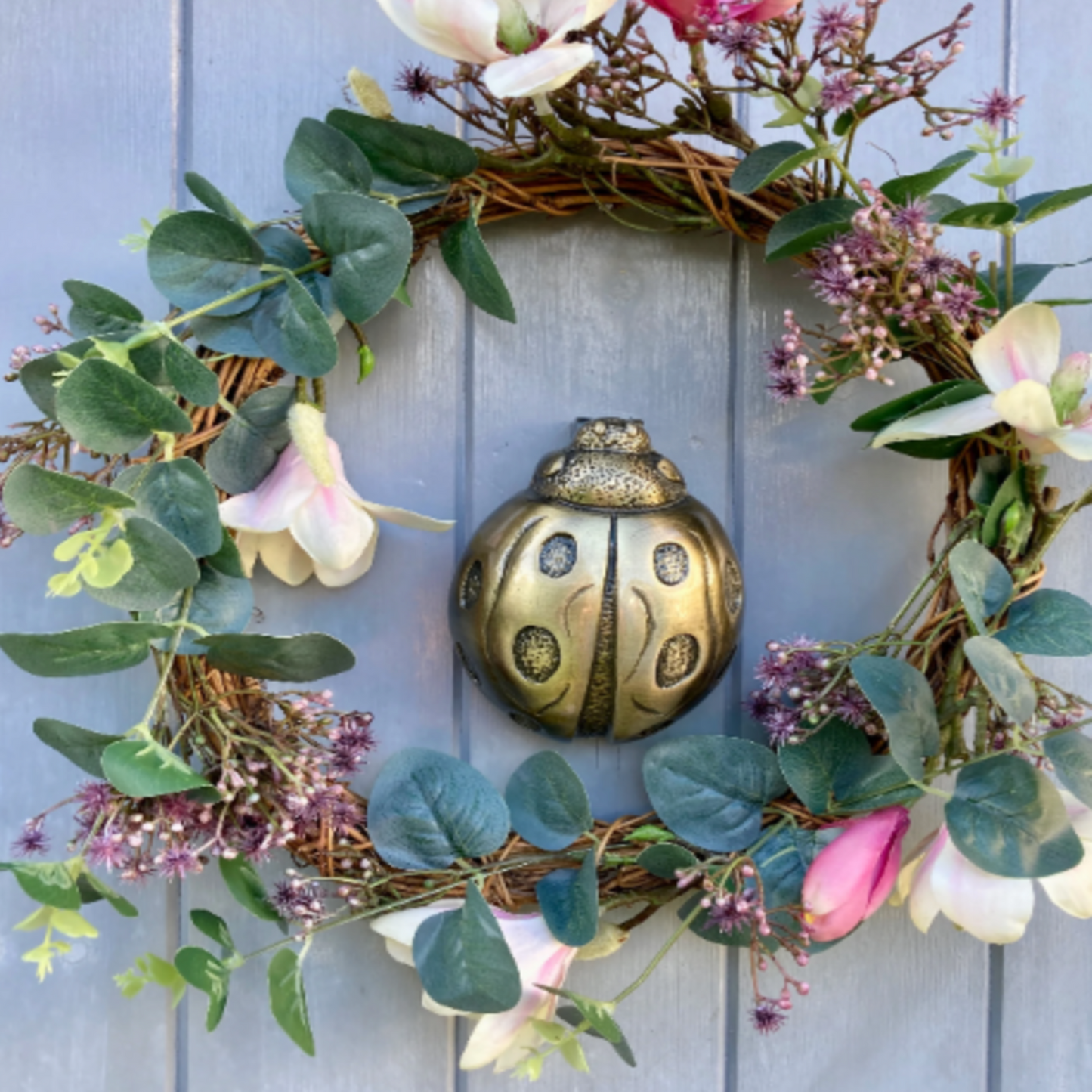 Ladybird Antique Brass Door Knocker