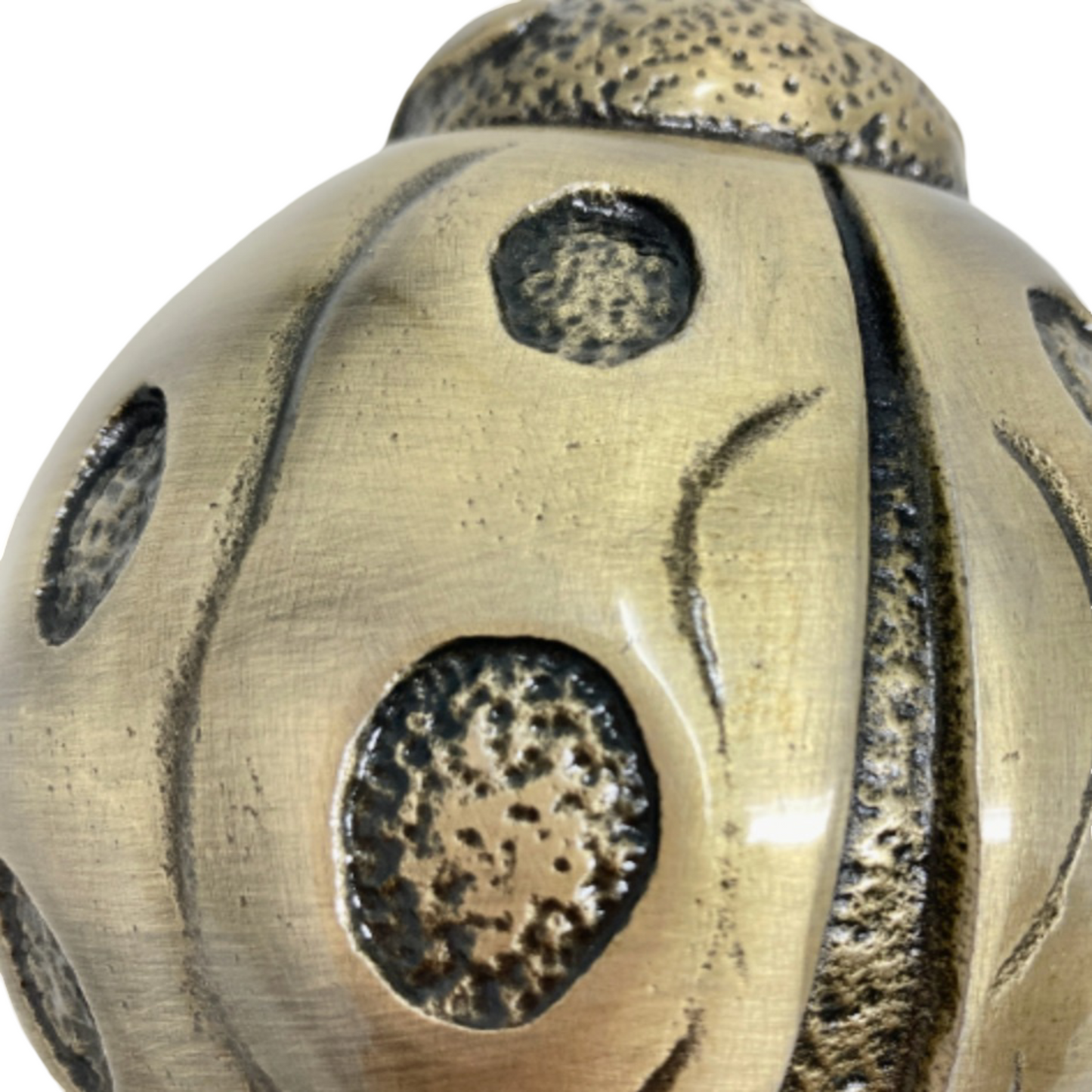 Ladybird Antique Brass Door Knocker