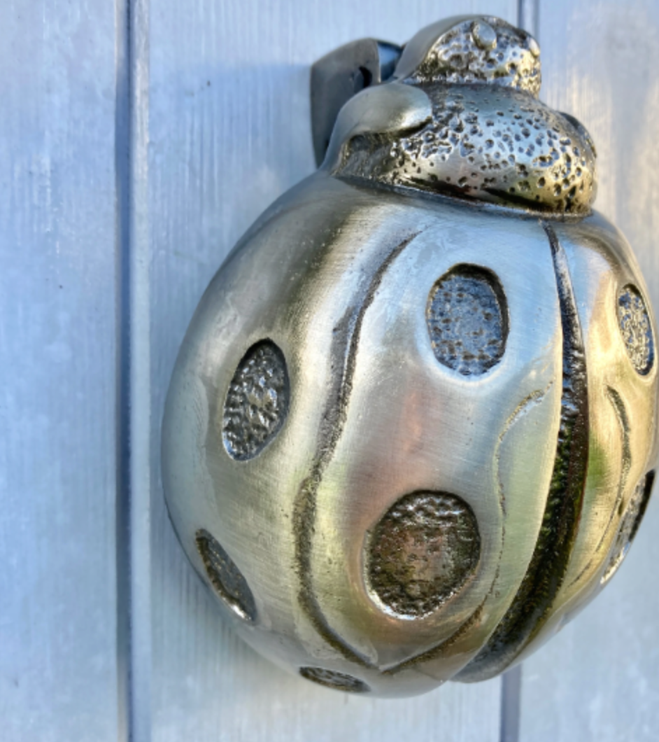 Ladybird Antique Brass Door Knocker