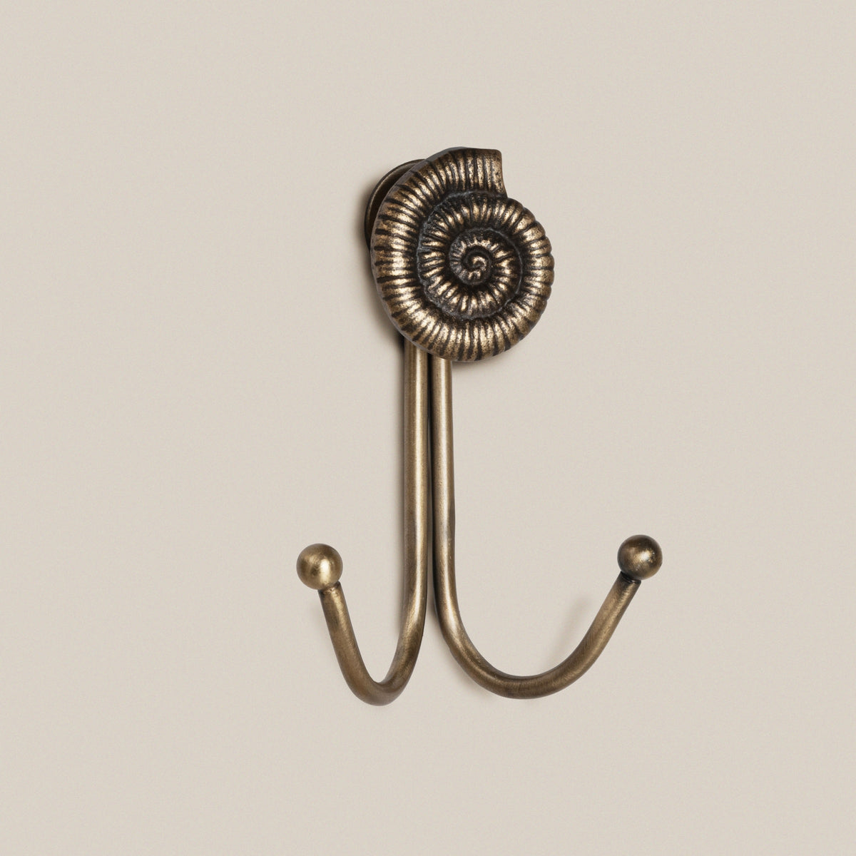 TEST Ammonite Hook – Lighter