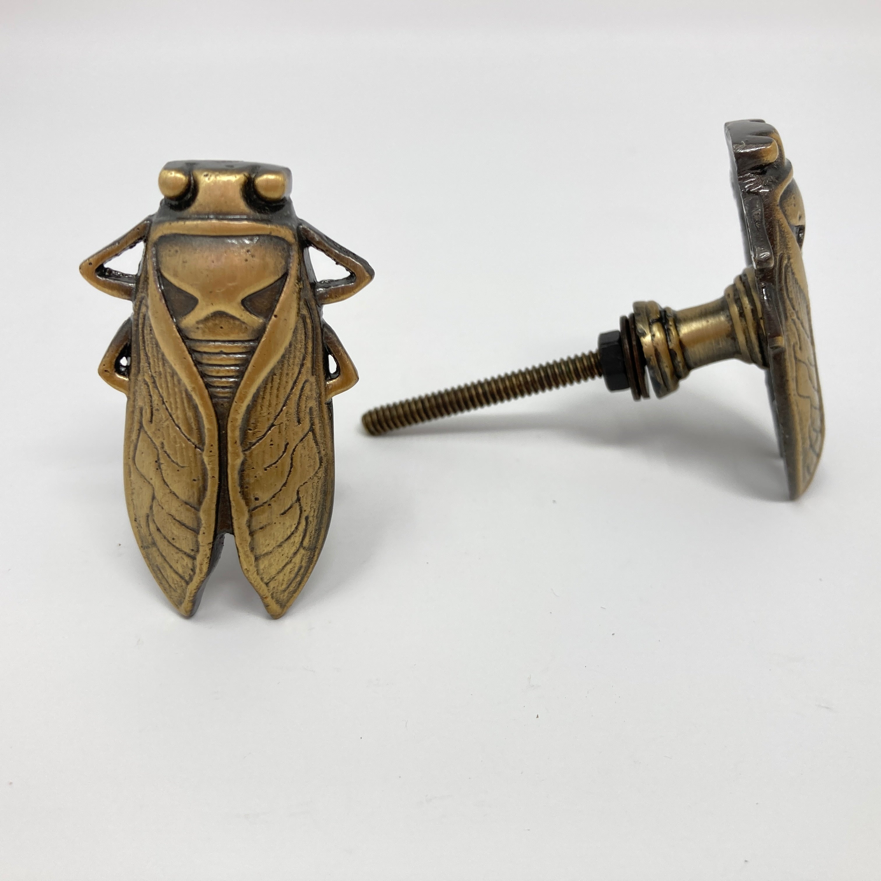 Bug Insect Knob in Gold Silver & Antique Brass