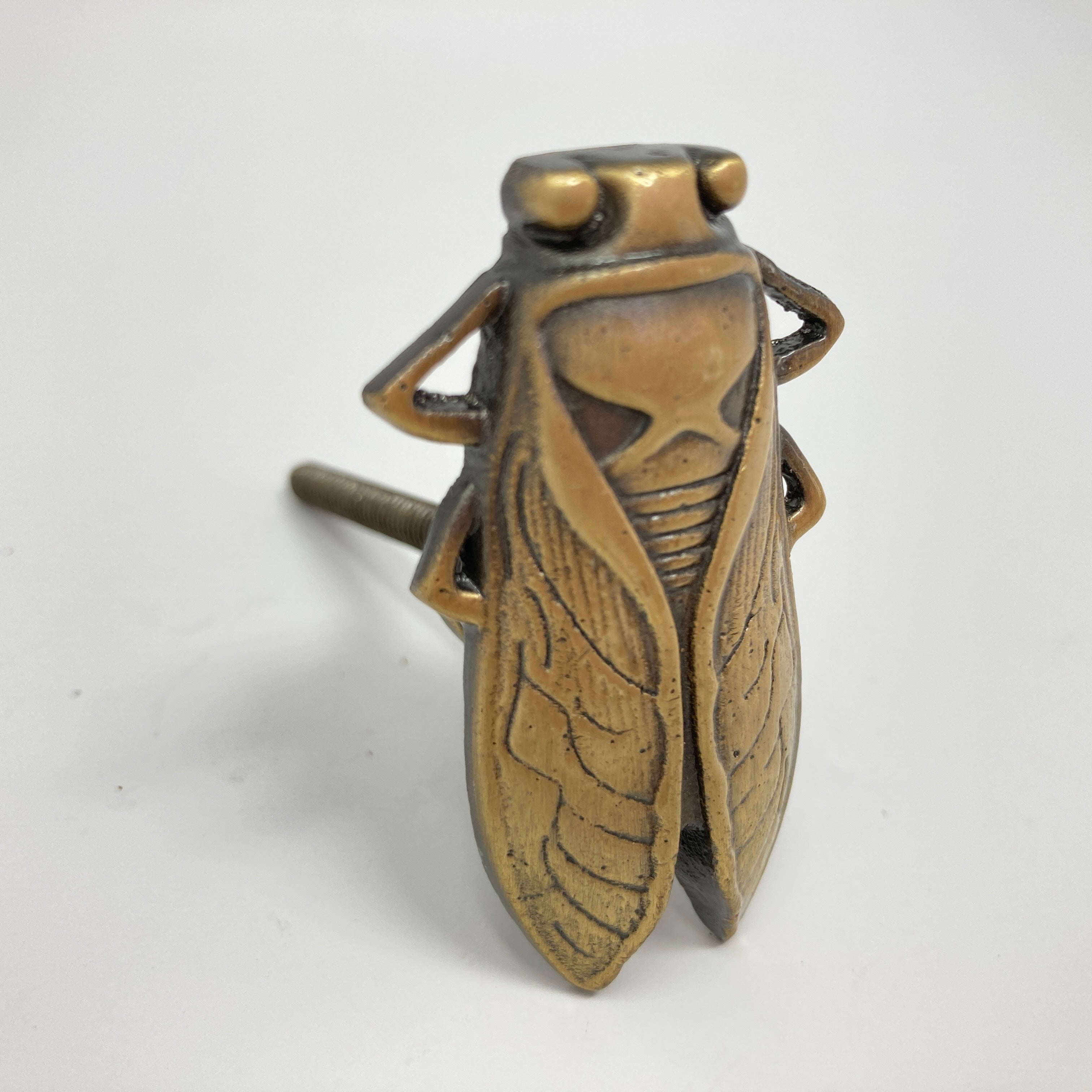 Bug Insect Knob in Gold Silver & Antique Brass