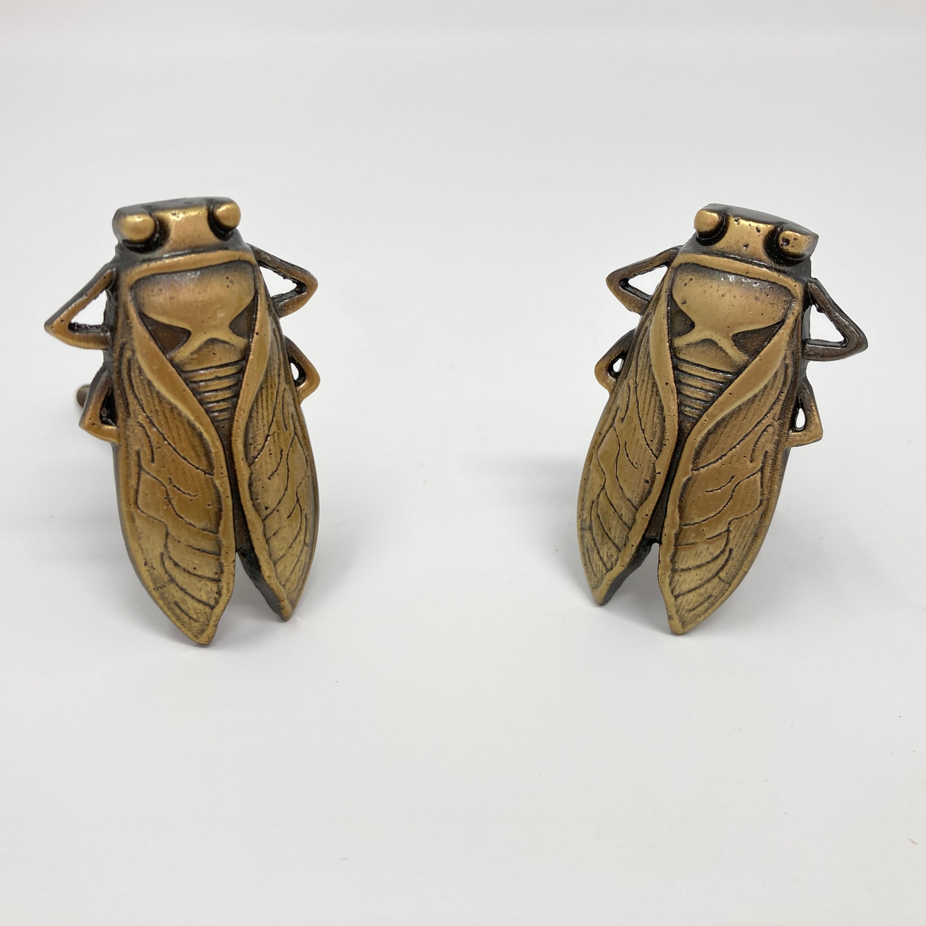 Bug Insect Knob in Gold Silver & Antique Brass