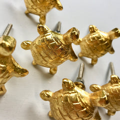 Gold Tortoise Knob