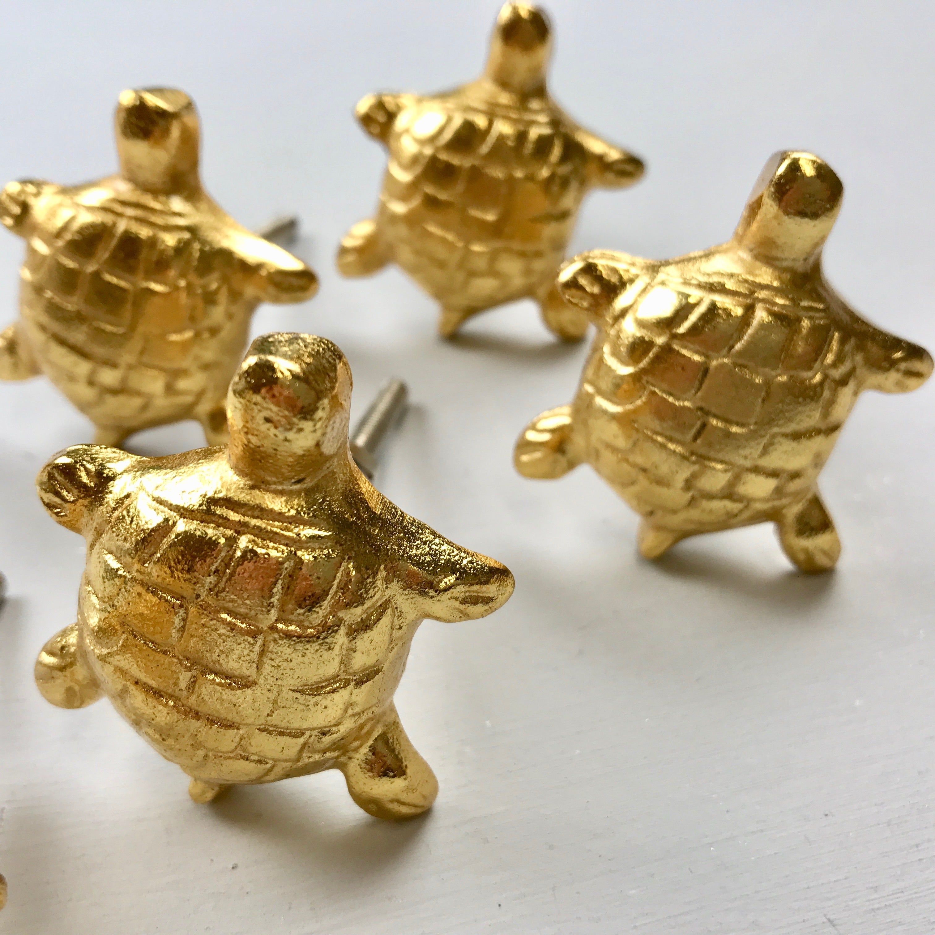 Gold Tortoise Knob