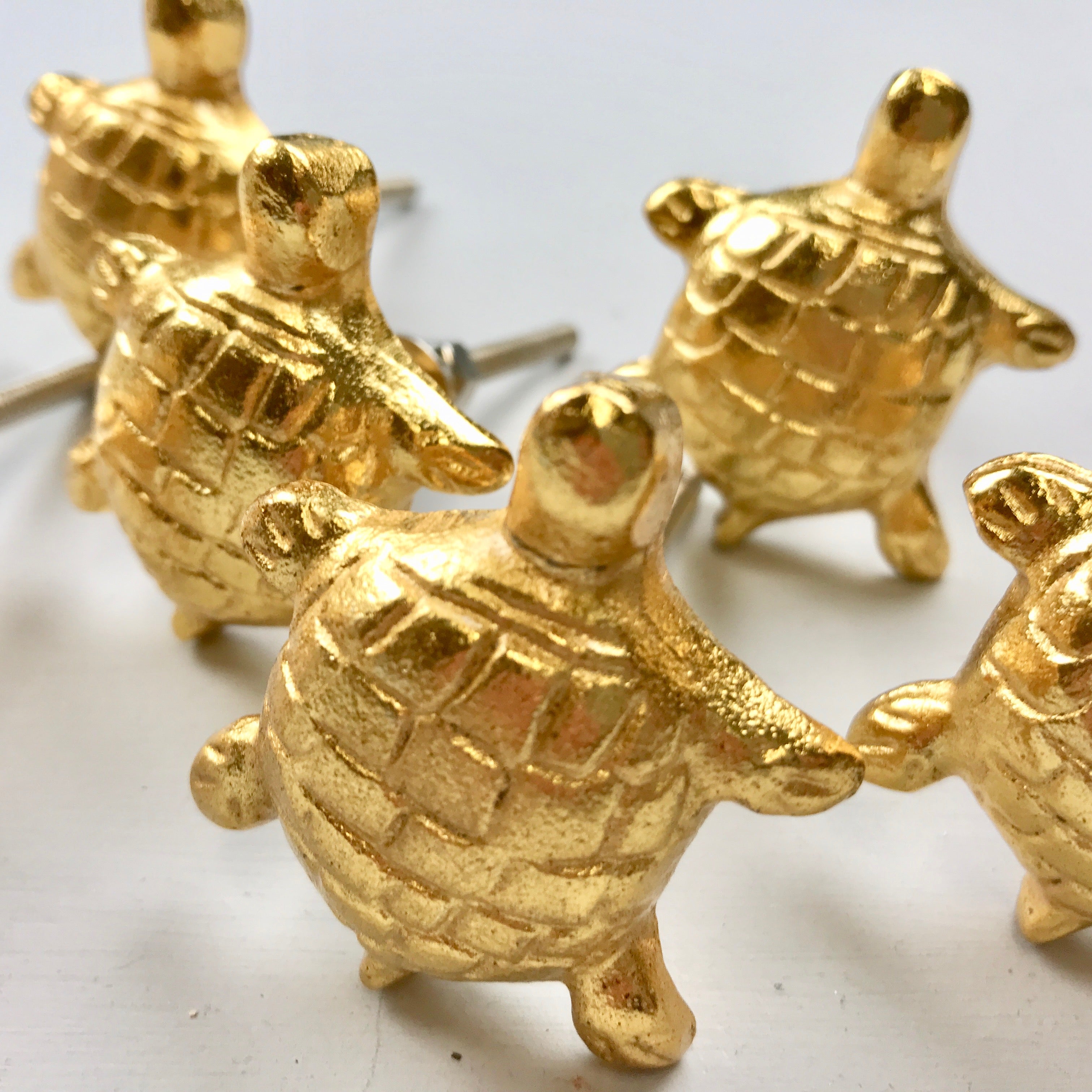 Gold Tortoise Knob