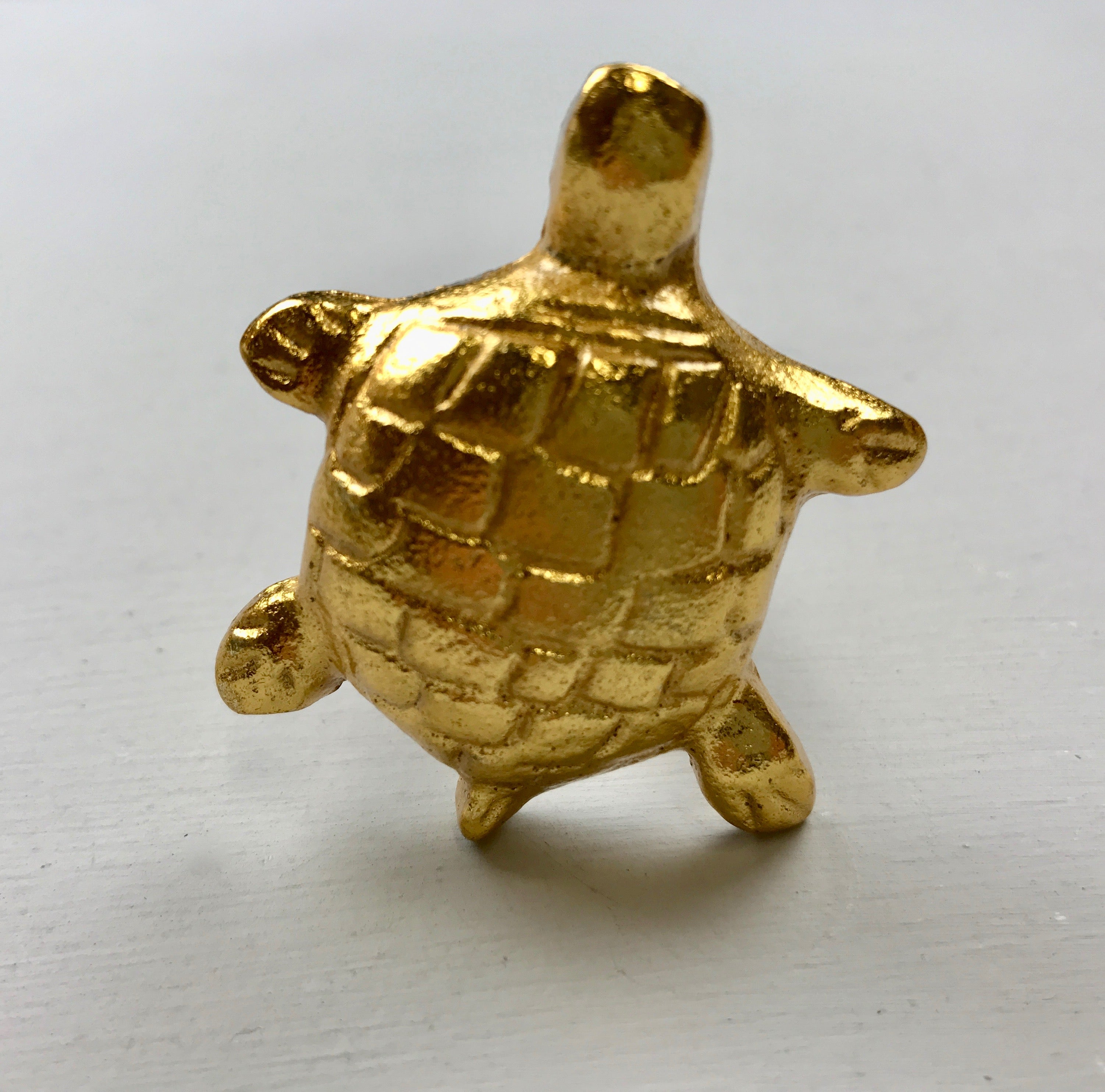 Gold Tortoise Knob