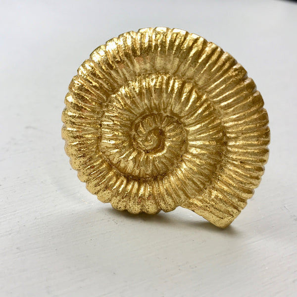 Gold Shell Knob