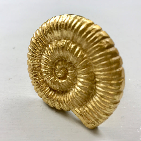 Gold Shell Knob