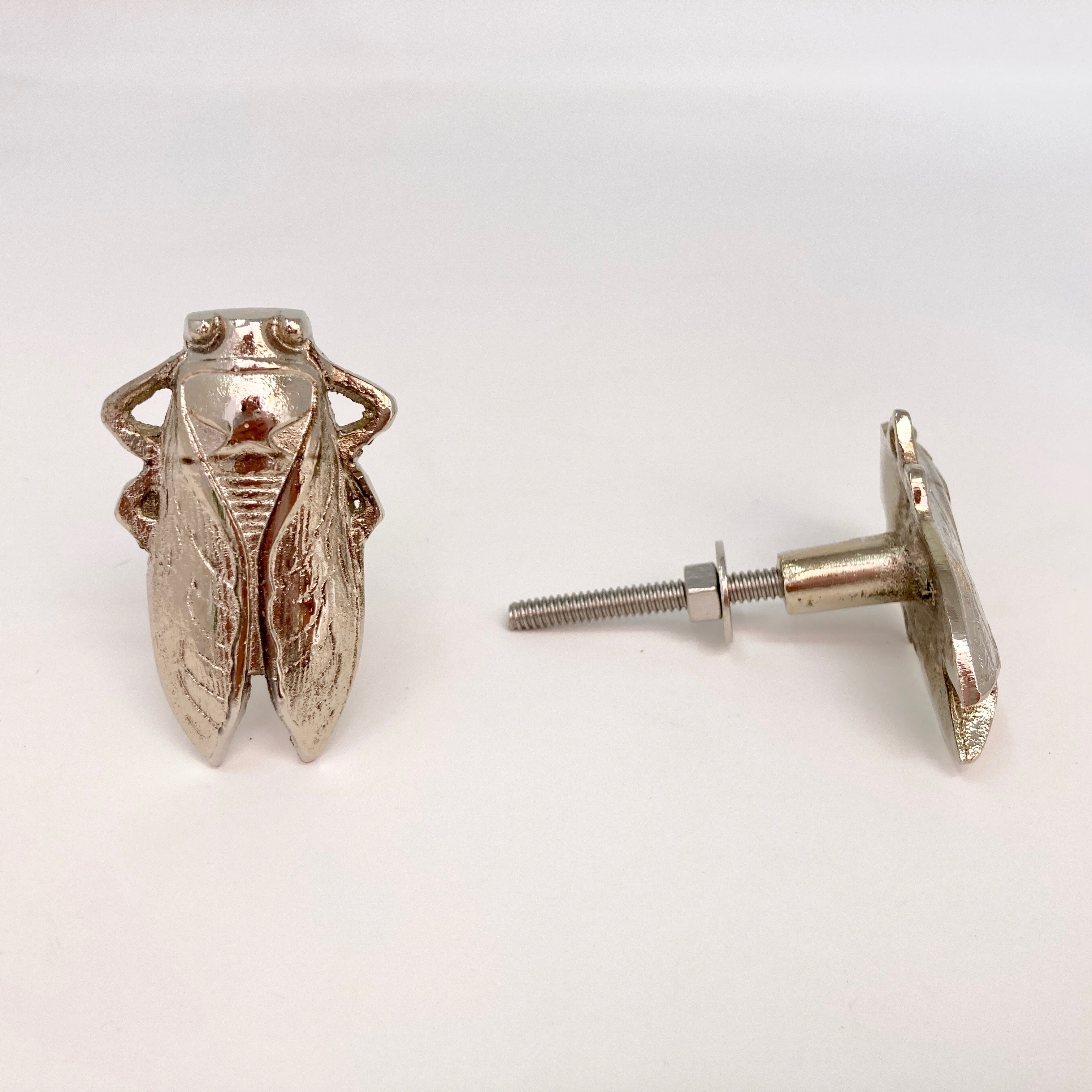 Bug Insect Knob in Gold Silver & Antique Brass