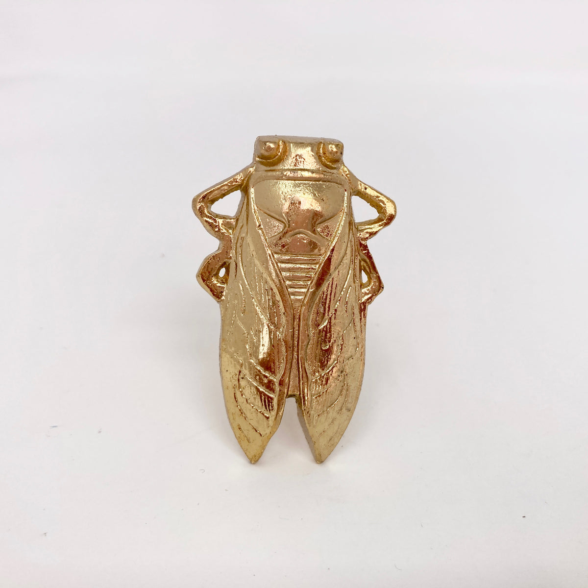 Bug Insect Knob in Gold Silver & Antique Brass