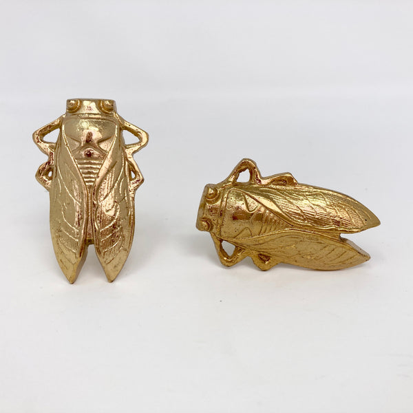 Bug Insect Knob in Gold Silver & Antique Brass
