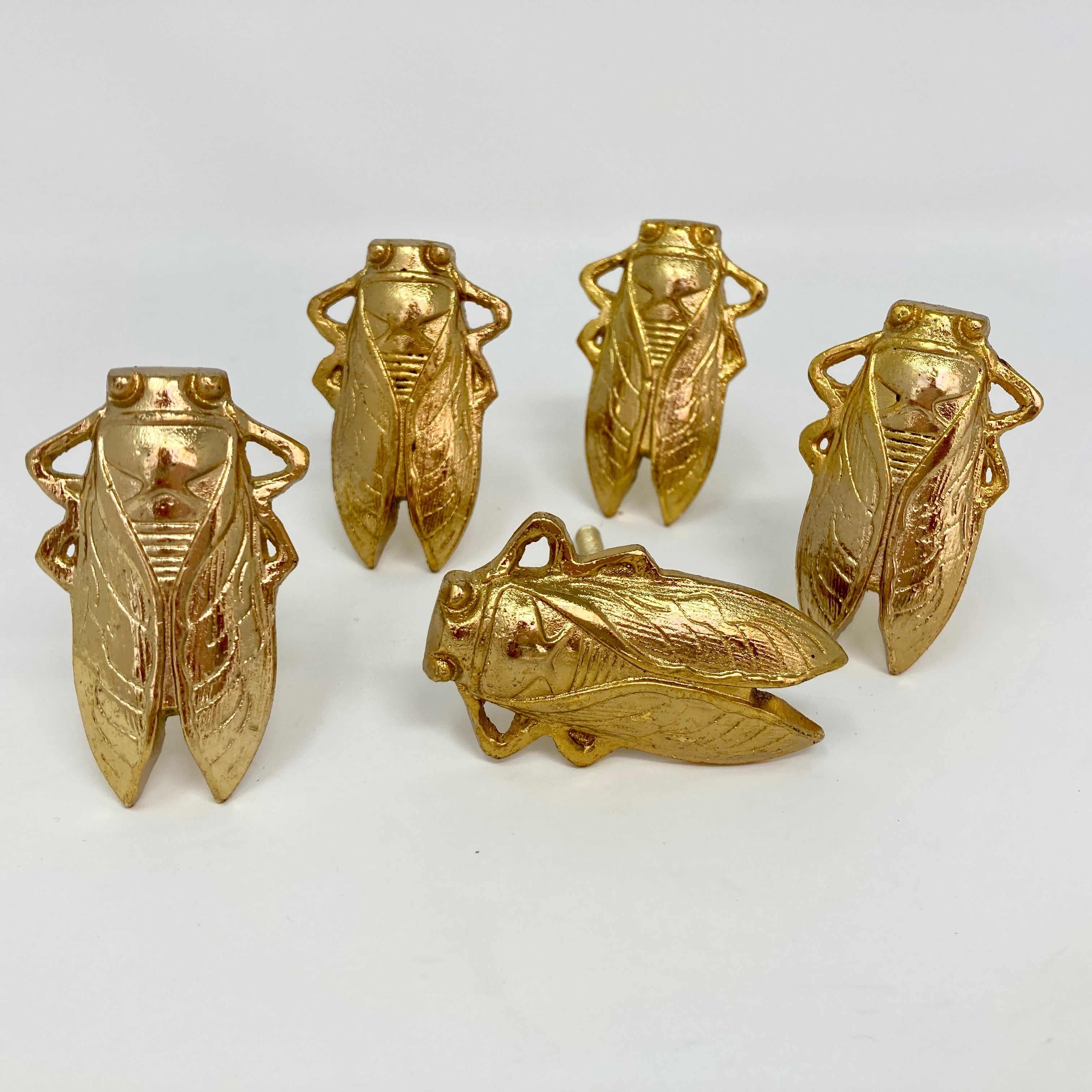 Bug Insect Knob in Gold Silver & Antique Brass